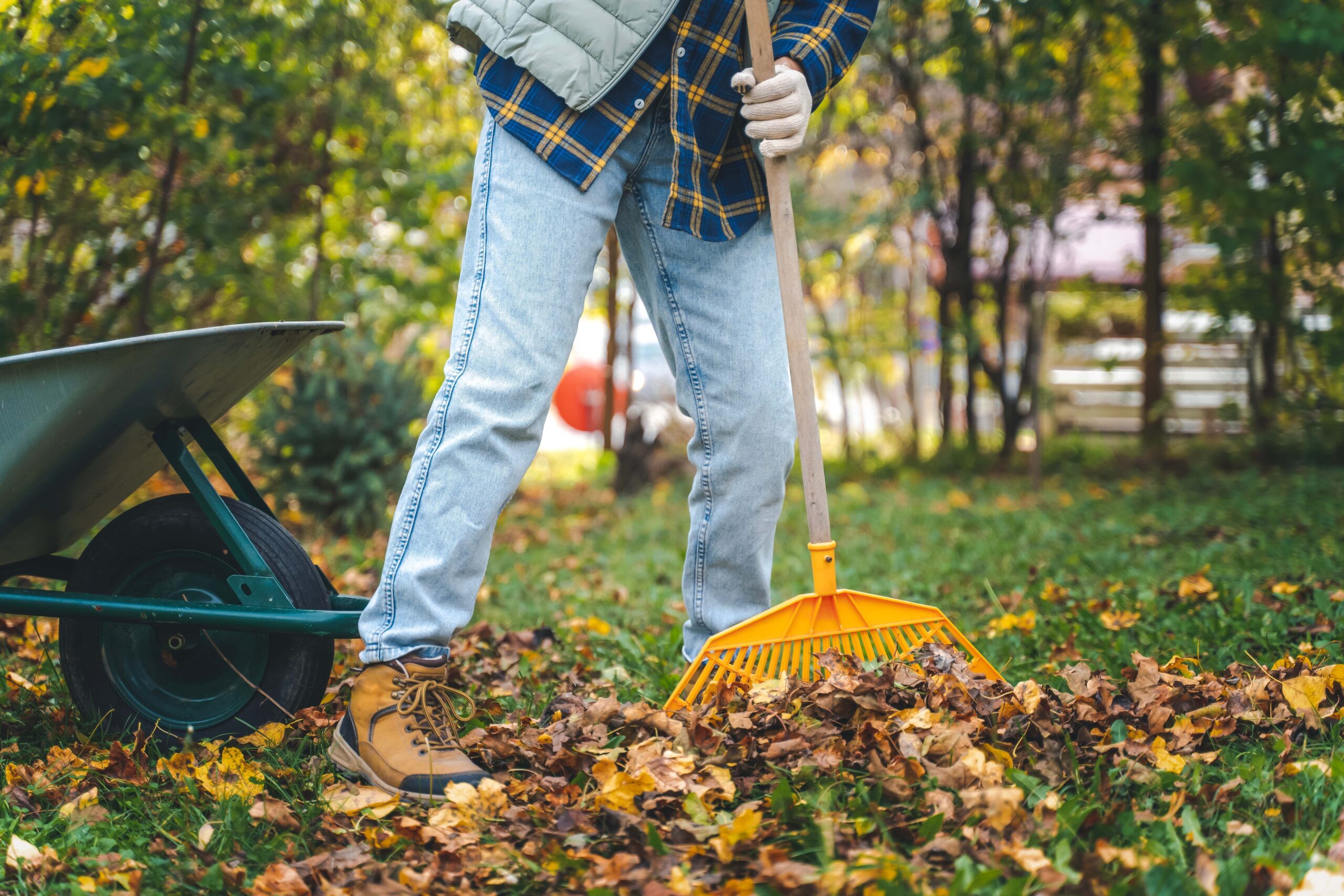 Woman raking leaves in yard